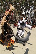 IMG_0929 