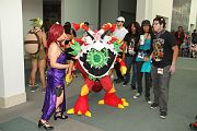 IMG_1065 