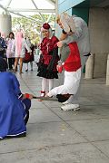 IMG_1337 