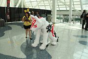 IMG_0414 