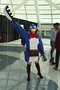 IMG_0431 