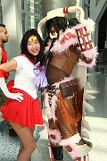 IMG_0437 
