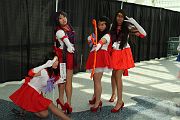 IMG_0515 