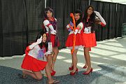 IMG_0522 