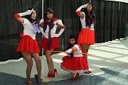 IMG_0524 