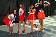 IMG_0528 