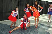 IMG_0531 