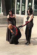 IMG_2942 