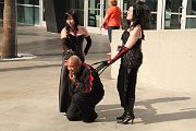 IMG_2946 