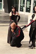 IMG_2953 
