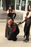 IMG_2954 
