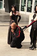 IMG_2955 