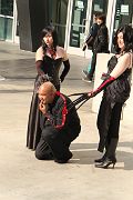 IMG_2956 