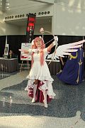IMG_3255 