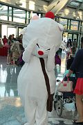 IMG_3325 