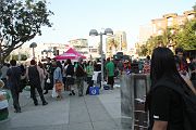 IMG_3345 