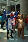 IMG_0632 