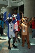 IMG_0633 