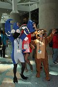 IMG_0634 