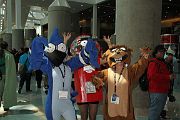 IMG_0636 