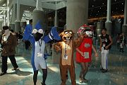 IMG_0638 