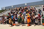 IMG_1336 