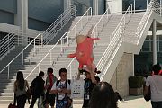IMG_1637 
