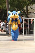 IMG_1651 