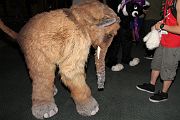 IMG_1741 