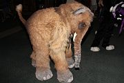 IMG_1742 