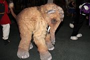 IMG_1743 