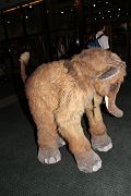 IMG_1744 