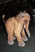 IMG_1745 