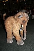 IMG_1747 