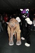 IMG_1753 