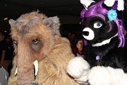IMG_1764 