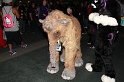 IMG_1765 
