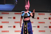 IMG_1911 