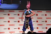 IMG_1912 
