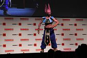 IMG_1913 