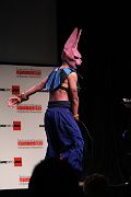 IMG_1931 