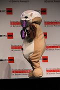 IMG_3583 