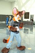 IMG_0005 