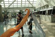 IMG_0117 