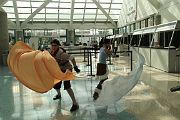 IMG_0120 
