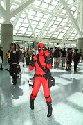 IMG_0254 