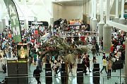 IMG_0579 