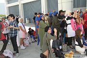 IMG_0594 