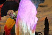 IMG_3081 