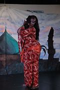 IMG_0584 